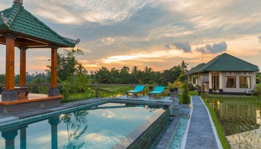 20 Best Budget Hotels in Bali under $50: Seminyak, Ubud, Canggu and more