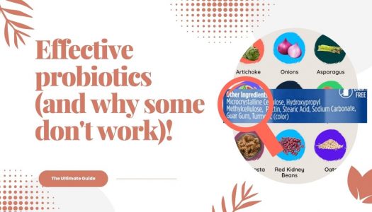 Food poisoning when travelling? 6 Vegan and dairy-free probiotics that can strengthen your gut health