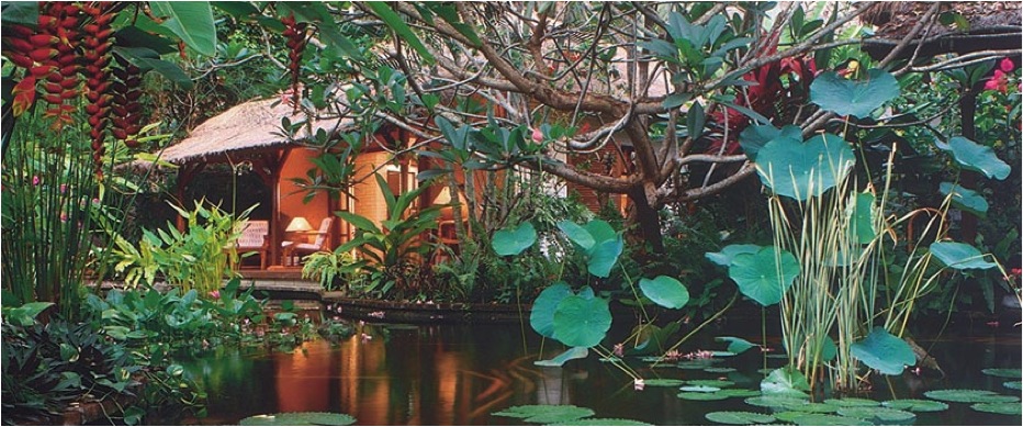 water-garden
