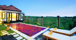 19 Villa terjangkau di Bali dengan kolam renang pribadi di bawah 1,5 juta per malam (Seminyak, Ubud, Canggu, dan sebagainya!)