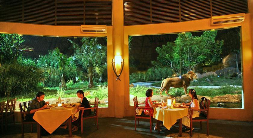 tsavo-lion-balisafarimarinepark-2