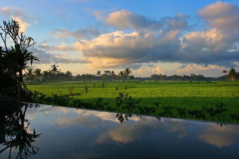 Tegalalang-Villa-view-from-Infinity-pooly-by-tripadvisor.com_