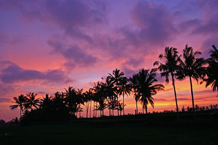 Tegalalang-villa-hollywood-sunset-by-tripadvisor.com_