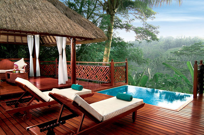 kupu-kupu-barong-pool