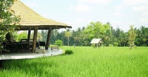 25 rekomendasi cafe/resto paling unik dan Instagramable di Bali