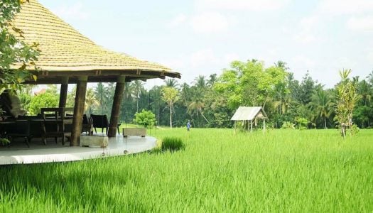 27 cafe unik di Bali yang bikin Anda tampak keren di Instagram (Menampilkan 16 – 27)