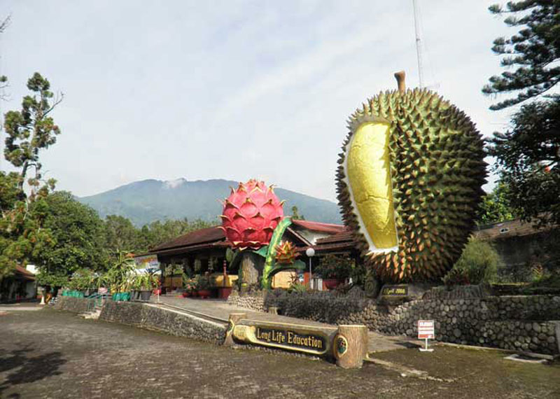 18-Warso-Farm-by-Telusur-Indonesia--Image-1