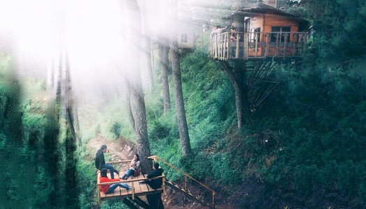 8 rumah pohon di Indonesia untuk liburan berkesan di tengah alam