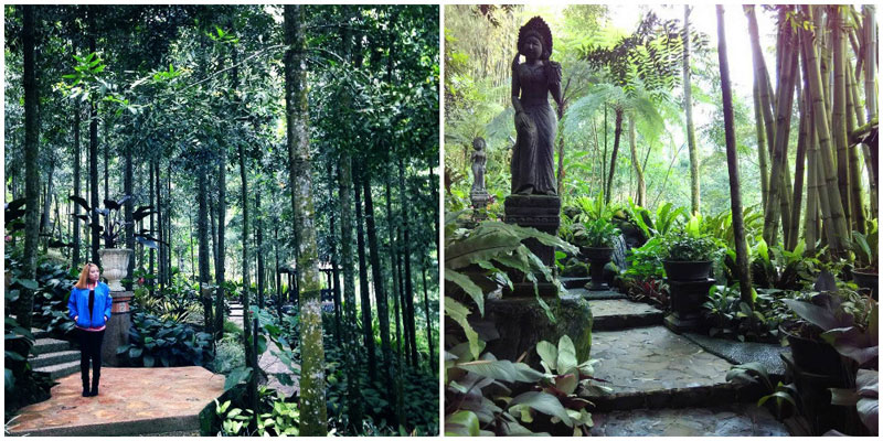 The-Michael-Resort-Forest-by-Intanprad,-Hanny-Sudarsono-Image-2