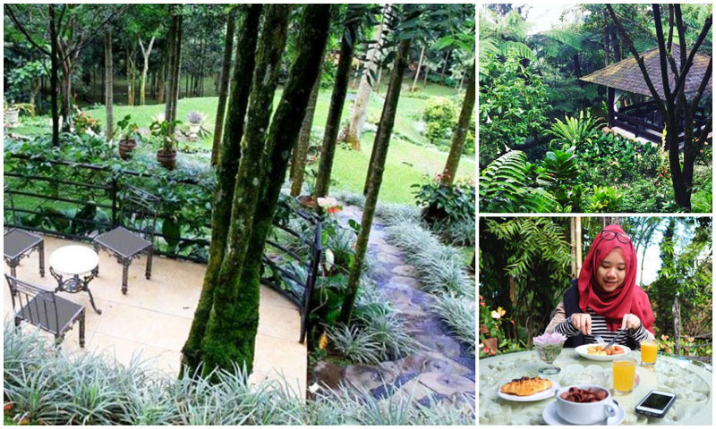 The-Michael-Resort-Gazebo,-restaurant-via-harwina,-fahmaemaa--Image-6