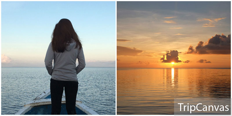 1-3-Dolphin-Watching-collage