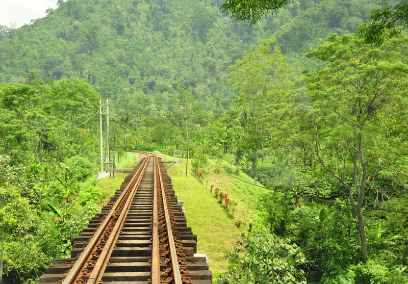 10-4-Lori-Wisata---Track-by-pecintawisata