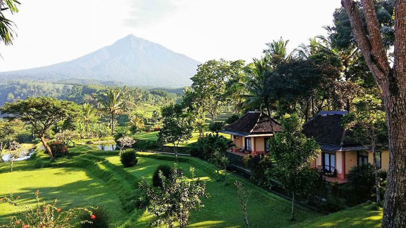 12-1-Ijen-Resort---View-4