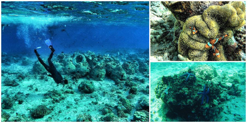 2-d-3-Pulau-Tabuhan---Snorkeling-by-repathony,-zein_zainal,-dissa_dissull