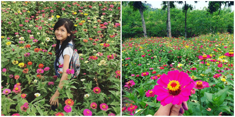 7-3-Waduk-Sidodadi---Taman-Bunga-by-novita_lestari07,-karinaulyaaa