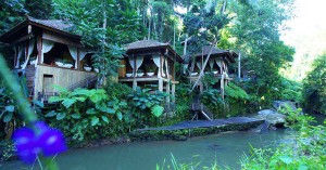 20 hotel dengan pemandangan hutan hijau yang cantik di Bali