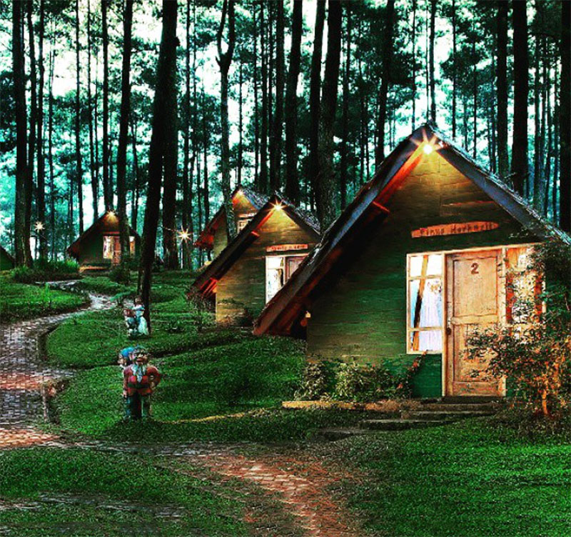 Grafika Cikole - Tripcanvas