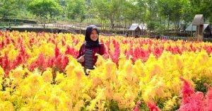 16 Tempat wisata berhawa sejuk di sekitar Semarang, Bandungan & Ungaran yang bikin hati tambah adem