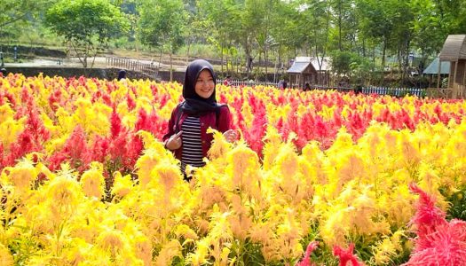 16 Tempat wisata berhawa sejuk di sekitar Semarang, Bandungan & Ungaran yang bikin hati tambah adem