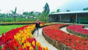 18 Tempat wisata keren di Purbalingga yang belum pernah Anda ketahui