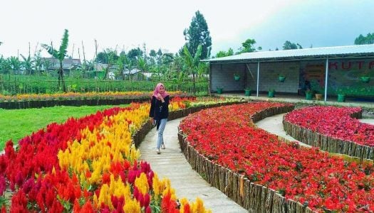 18 Tempat wisata keren di Purbalingga yang belum pernah Anda ketahui