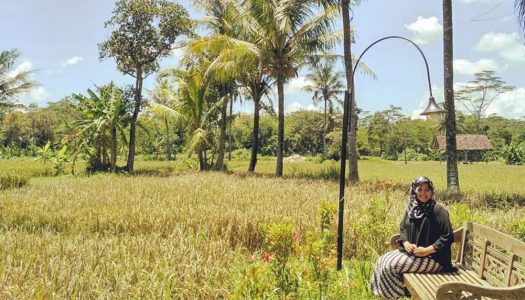 15 Tempat makan di Jogja yang murah dan menawarkan sensasi makan ala kampung