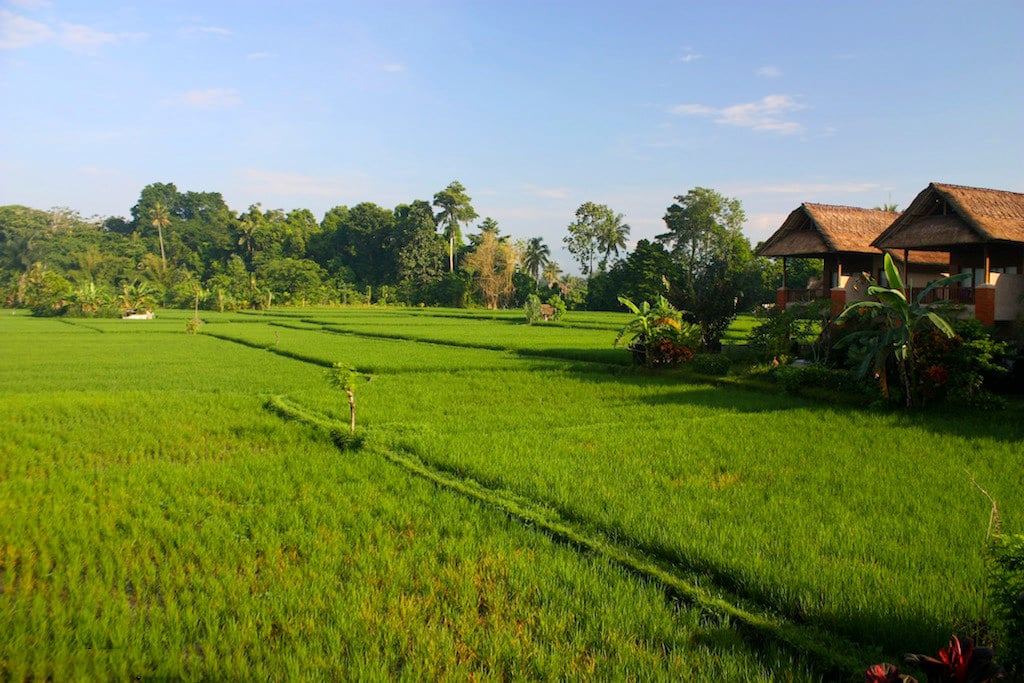 1. Tegal Sari by christinelifeslikethis.blogspot.com