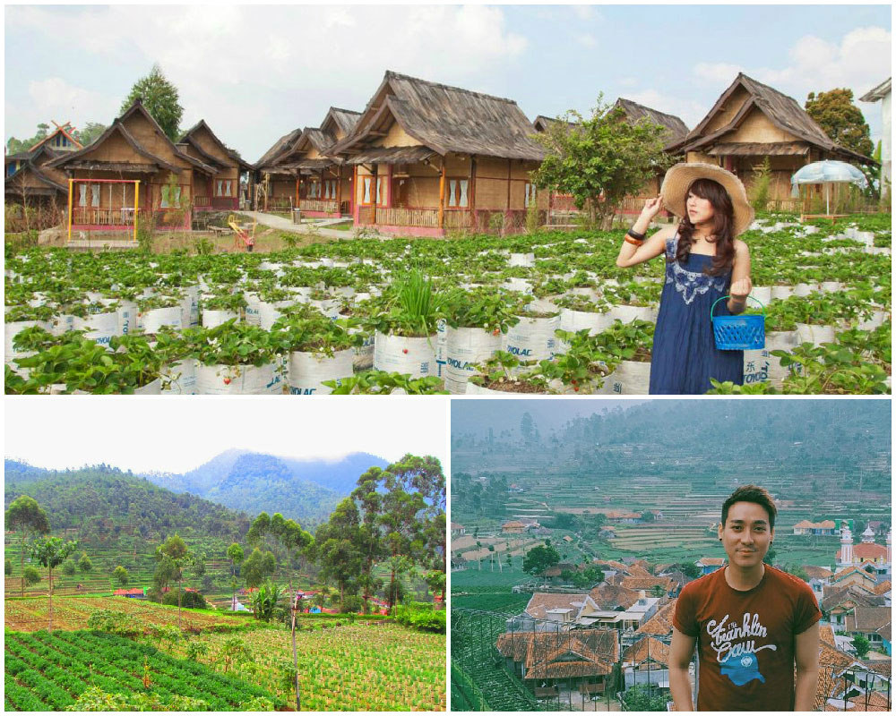 Sawung Gawir Restaurant and Bungalow - Tripcanvas