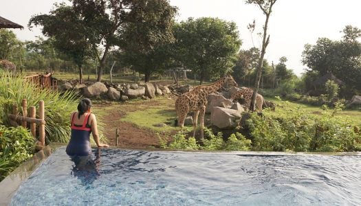 16 Tempat wisata unik dan seru di Prigen dan Tretes yang tidak pernah Anda bayangkan sebelumnya