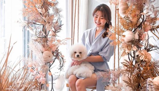 17 Café/tempat makan dog-friendly di sekitar Jakarta untuk mengajak anjing kesayanganmu