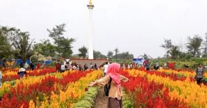 38 Tempat wisata hits di sekitar Purwokerto dan Kebumen yang belum banyak orang tahu
