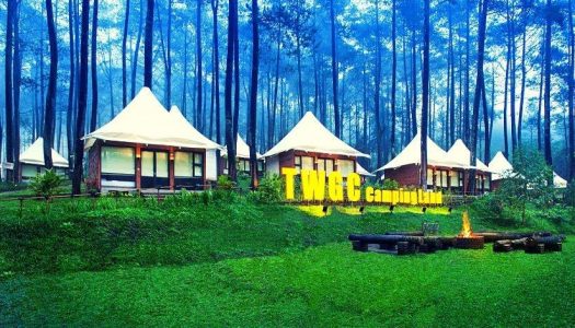 Liburan di tengah sejuknya hutan pinus Lembang: Urban Camp, Terminal Wisata Grafika Cikole