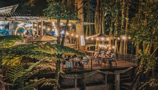 Tempat ngopi tengah hutan paling ngehits di Bogor: Kopi Daong