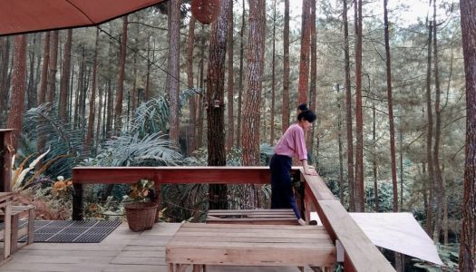 Glamping dan wisata alam HITS tengah hutan pinus di perbatasan Jogja – Purworejo – Deloano glamping