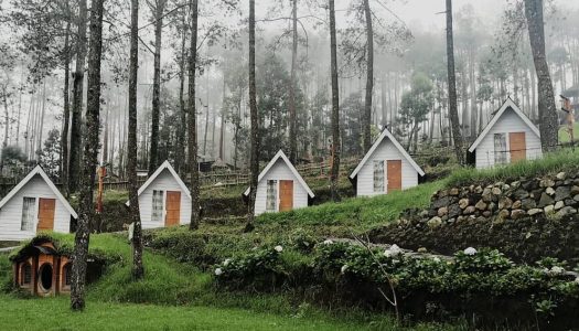 Tempat glamping keluarga dekat Solo di kaki Gunung Lawu nan sejuk – Lawu Park