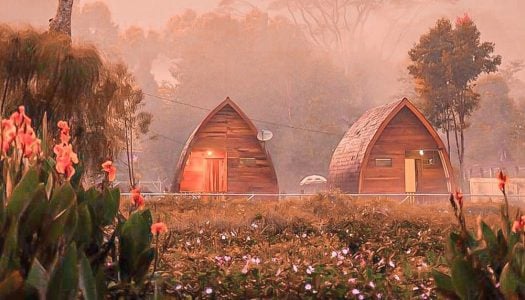 Cottage Sarang Burung Ciwalini: Glamping di tengah kebun teh di Bandung – muat sampai 6 orang!