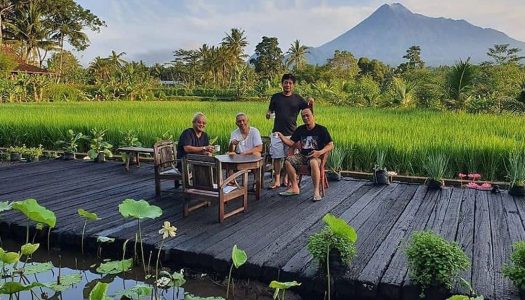 Rumah Jermbrati: Suasana ala Ubud di Jogja!: Villa keluarga dengan pemandangan sawah dan Gunung Merapi!