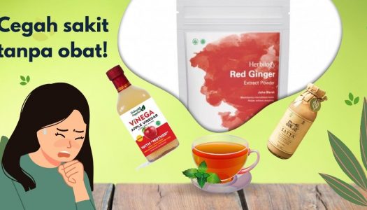 Cegah sakit tanpa obat!: Jaga daya tahan tubuh dengan 7 produk alami ini