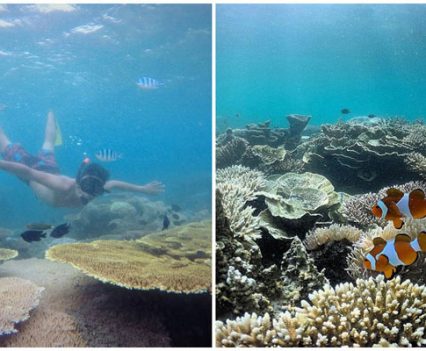 , 4天3夜RM770玩转印尼Belitung！自由行攻略大公开！