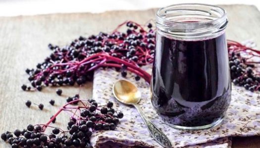 What to eat to avoid falling sick: 23 foods that boost your immunity