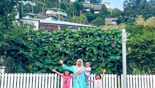 1.5 hours from Kuala Lumpur: Stay at a secluded durian retreat in Raub – Laman Pesona Resort & Spa