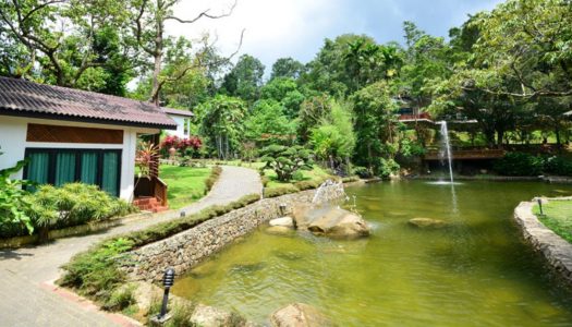 Bidaisari Resort: Riverside nature retreat in Janda Baik with a deer farm and a jacuzzi with river views