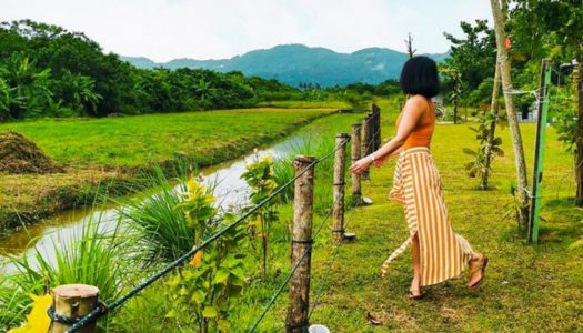 Mieda Natural Eco Cafe at Nada Natural Farming: Dine at Penang’s magical rustic farmhouse