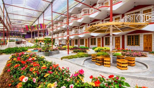 Find Europe at these 9 affordable family hotels in Cameron Highlands near strawberry farms, tea plantations and more!