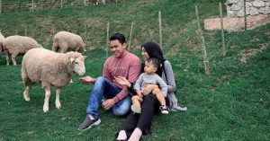 金马伦小台湾！和小绵羊共度亲子甜蜜时光 - The Sheep Sanctuary