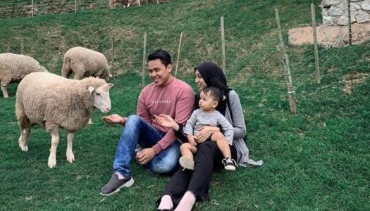 金马伦小台湾！和小绵羊共度亲子甜蜜时光 – The Sheep Sanctuary