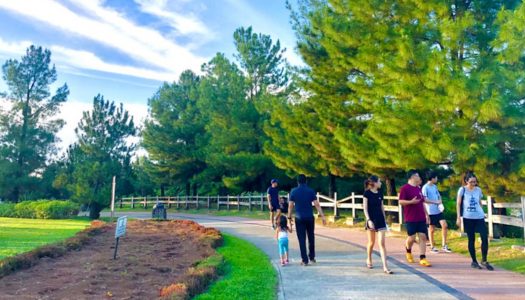 Putrajaya 隐藏小欧洲！野餐骑车好去处 – Taman Saujana Hijau