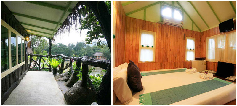 2-tree-house-view