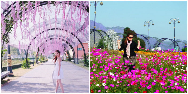 11-bloom-via-ladycatchy