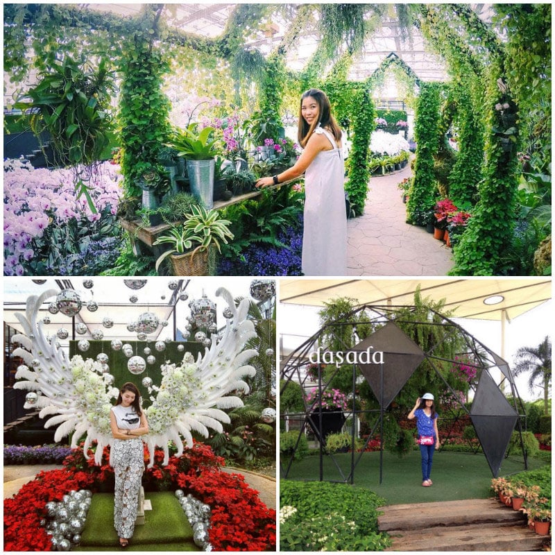 14-photo-via-the_poy,-lady_siriwan_,-cherry_ncm